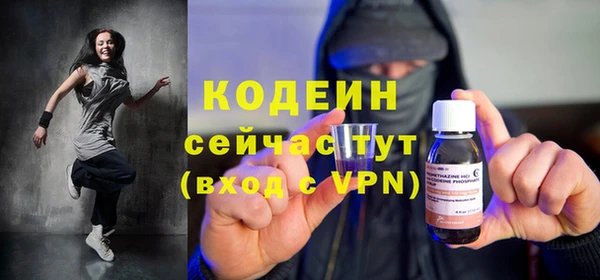 хмурый Вяземский
