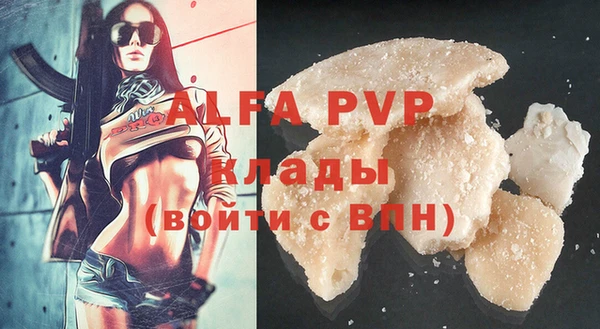 СК Вязьма