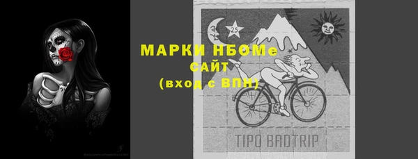 СК Вязьма