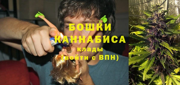 СК Вязьма