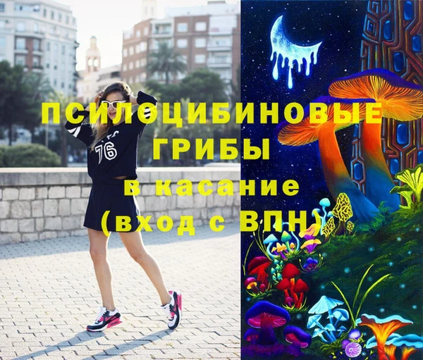 СК Вязьма