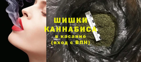 СК Вязьма