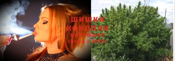 хмурый Вяземский