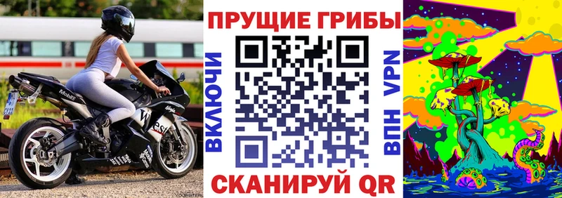 Галлюциногенные грибы Psilocybe  Тверь 